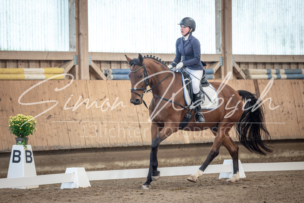 20251011-_3LI7610 | Tierfotografie Pferde, Hunde, Katzen, Haustiere.
Turnierfotografie Reitturniere, Reiten, Springreiten, Dressur in Hanau, dem Main-Kinzig-Kreis und dem Rhein-Main- Gebiet um Frankfurt