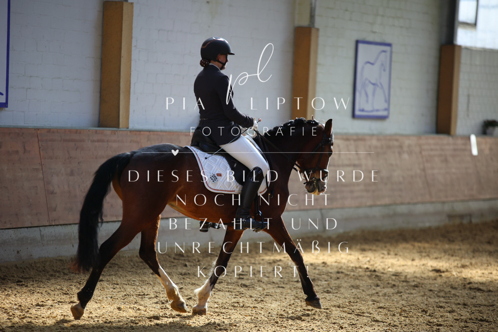 IMGT6578 | pl-fotografie