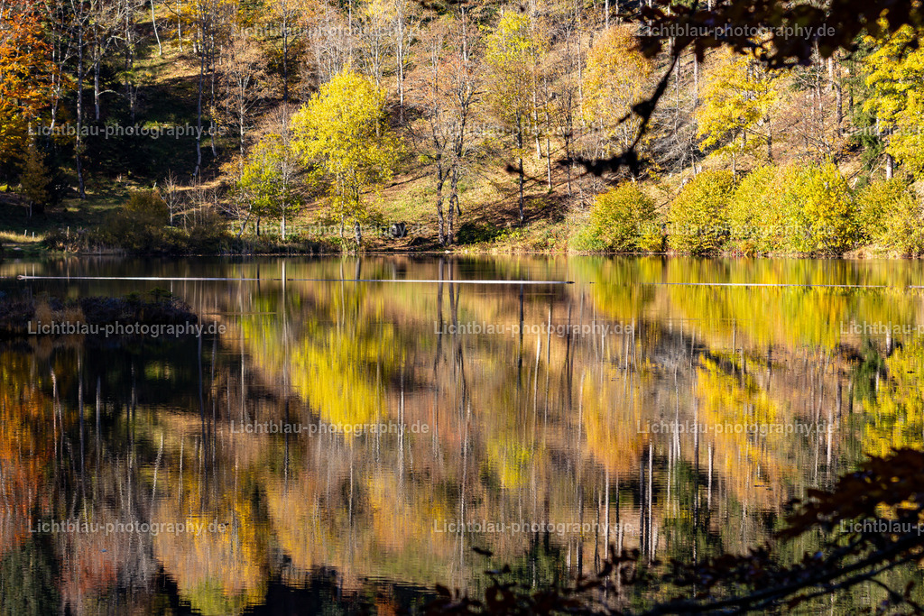 Schöner See im Süd Schwarzwald | Der Nonnenmattweiher ist ein mittels Damm aufgestauter See mit einer Moor- bzw. Torfinsel und ein ihn und seine Umgebung umfassendes namensgleiches Naturschutzgebiet im Südschwarzwald und Naturraum Hochschwarzwald in Baden-Württemberg.  - Realisiert mit Pictrs.com