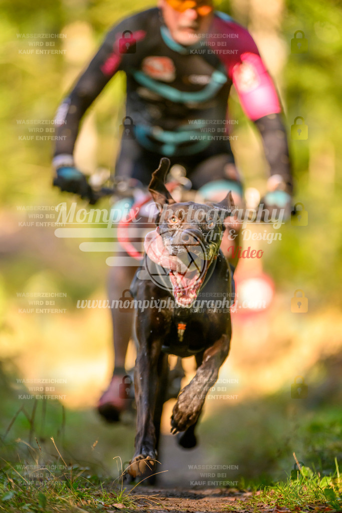 MompixPhotography_Yens2025_B3-92 | PayLife