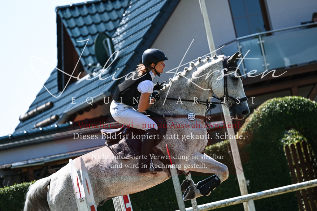 DSC_0318 | Pferde- und Turnierfotografie in Westsachsen. Pferdeportraits, Auftragszeichnungen und intuitive Kunst.