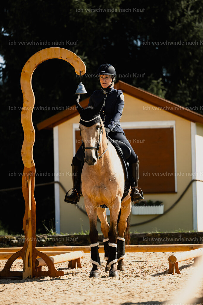 Diana11_FHC2025-27548 | working equitationturnier fotograf videograf stoibphotography marixx film working equitation deutschland reitsport turnierfotografie eventfotografie equestrian events