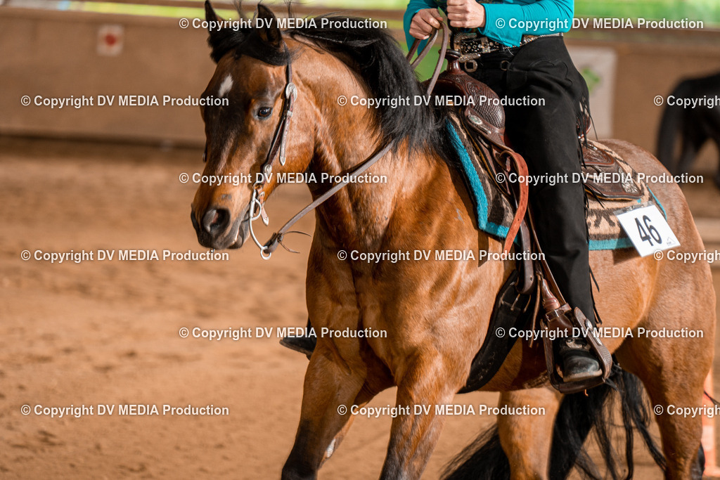 BA400686 | dv-media-shop - Realisiert mit Pictrs.com