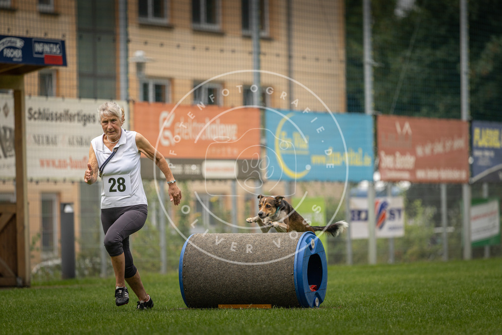 Pfotenfotografie_DV3A8737 | Hundefotografie, Tierfotograf, Pfotenfotografie, Fotoshooting Hund, Hunde Portrait, Hundesport, Hundeportraits, Heideshooting, Hunde, Sportfotograf, Hundefotograf, Turnierhundsport, THS,  - Realisiert mit Pictrs.com