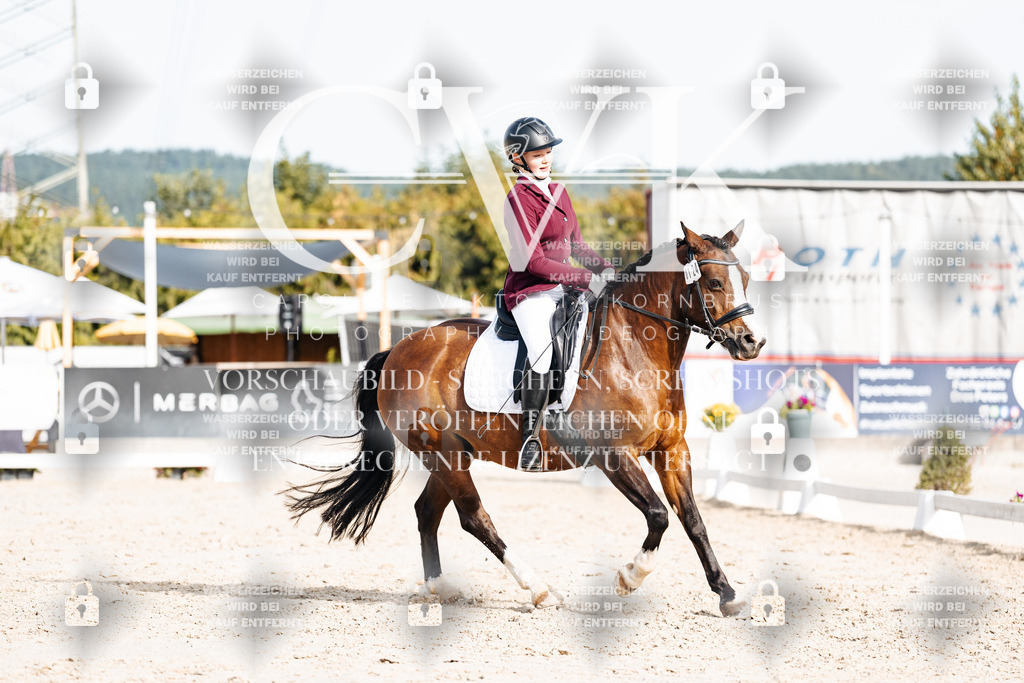 CK904914 | Turnierfotografie Pferdefotografie Trier Rheinland-Pfalz Pferdesport Reitsport Tierfotografie Sportfotografie Pferdevideo Pferdevideografie Equestrianvideography equestrianphotography  - Realisiert mit Pictrs.com