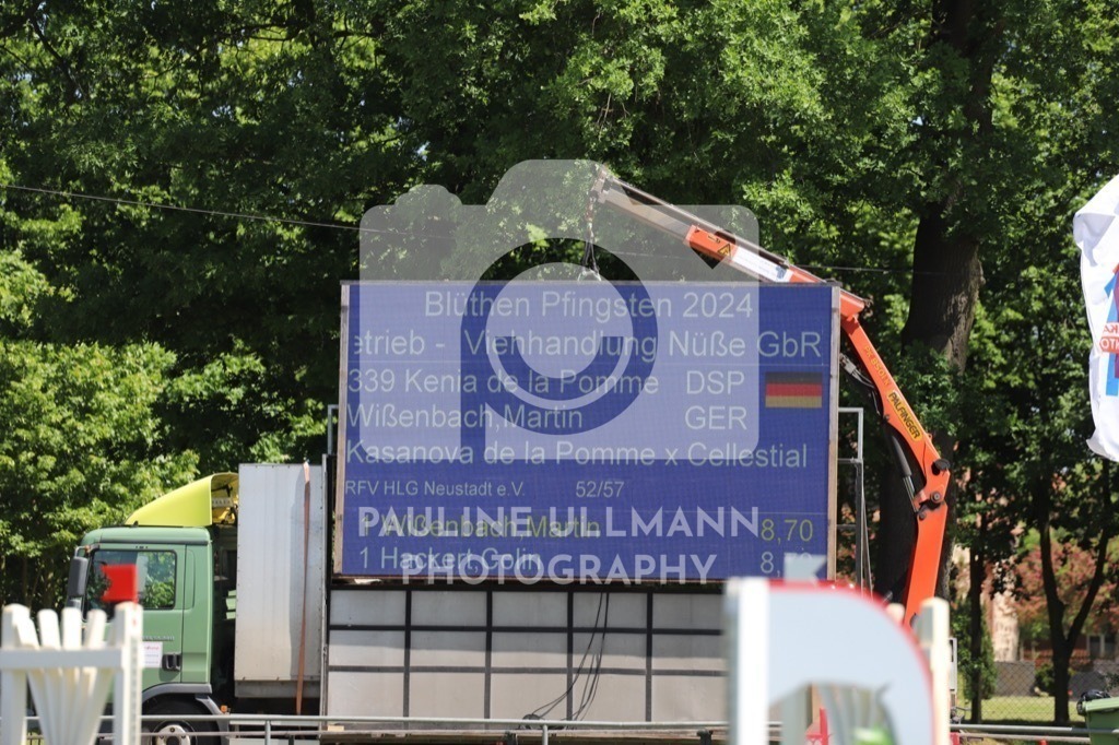 IMG_6321 | Pauline Ullmann Photography - Realisiert mit Pictrs.com