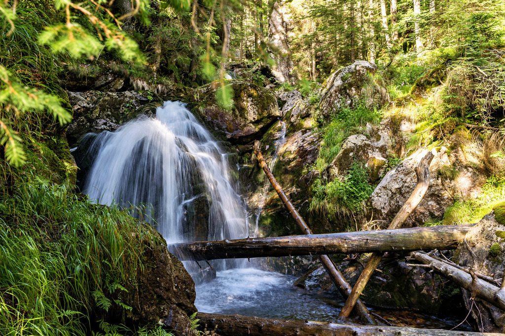 Rißlochfälle im Bayerischen Wald | Der Wanderweg an den Rißlochfällen im Bayerischen Wald. - Realisiert mit Pictrs.com