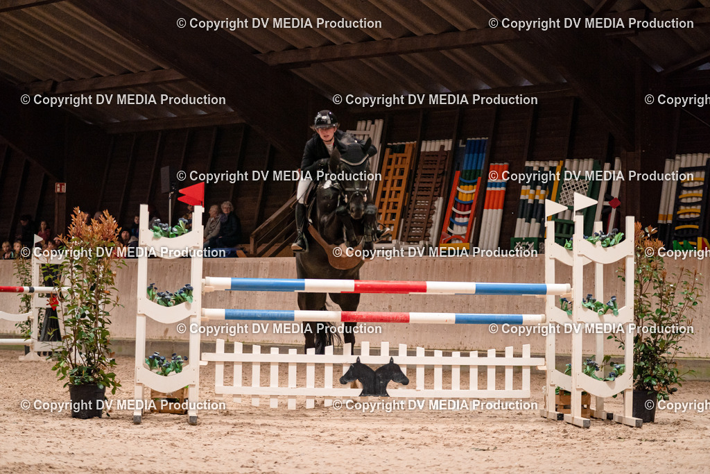 Springen Tag 2-793 | dv-media-shop - Realisiert mit Pictrs.com