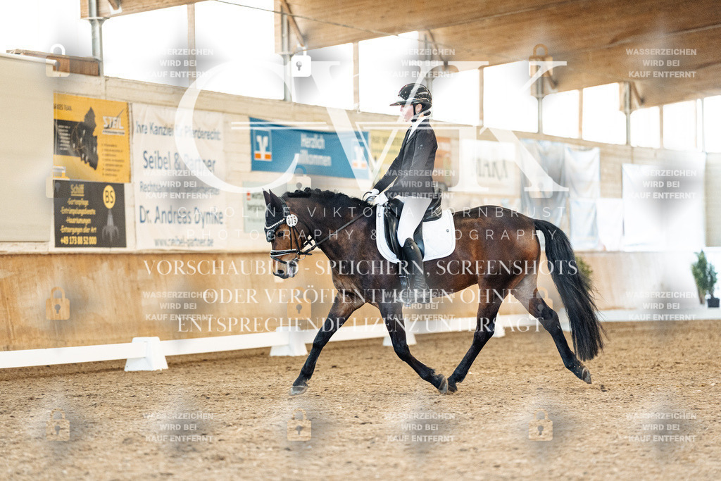 CK908116 | Turnierfotografie Pferdefotografie Trier Rheinland-Pfalz Pferdesport Reitsport Tierfotografie Sportfotografie Pferdevideo Pferdevideografie Equestrianvideography equestrianphotography  - Realized with Pictrs.com