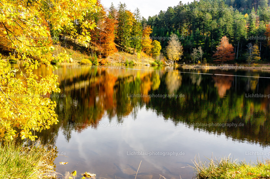 Schöner See im Süd Schwarzwald | Der Nonnenmattweiher ist ein mittels Damm aufgestauter See mit einer Moor- bzw. Torfinsel und ein ihn und seine Umgebung umfassendes namensgleiches Naturschutzgebiet im Südschwarzwald und Naturraum Hochschwarzwald in Baden-Württemberg.  - Realisiert mit Pictrs.com