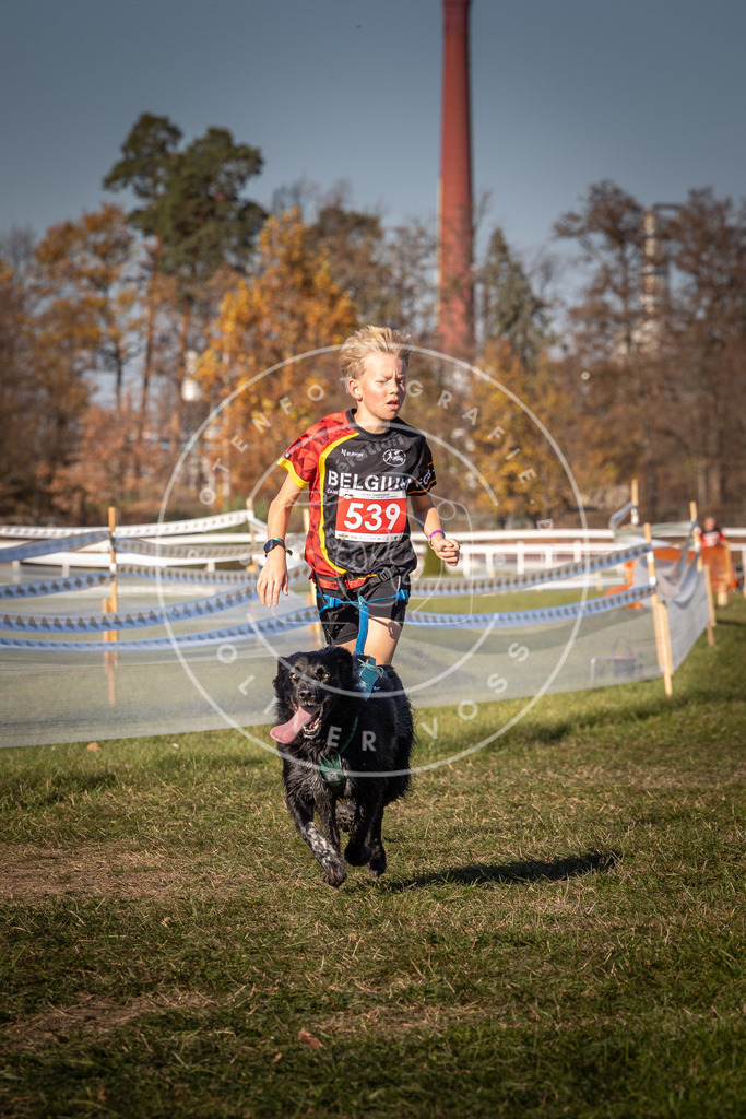 CaniXpix_0L8A7485 | Hundefotografie, Tierfotograf, Pfotenfotografie, Fotoshooting Hund, Hunde Portrait, Hundesport, Hundeportraits, Heideshooting, Hunde, Sportfotograf, Hundefotograf, Turnierhundsport, THS,  - Realisiert mit Pictrs.com