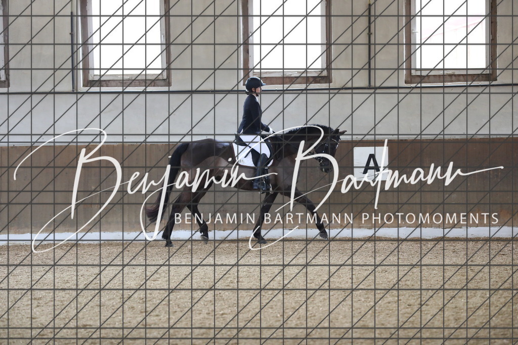 AZ2A0413 | Benjamin Bartmann Photomoments