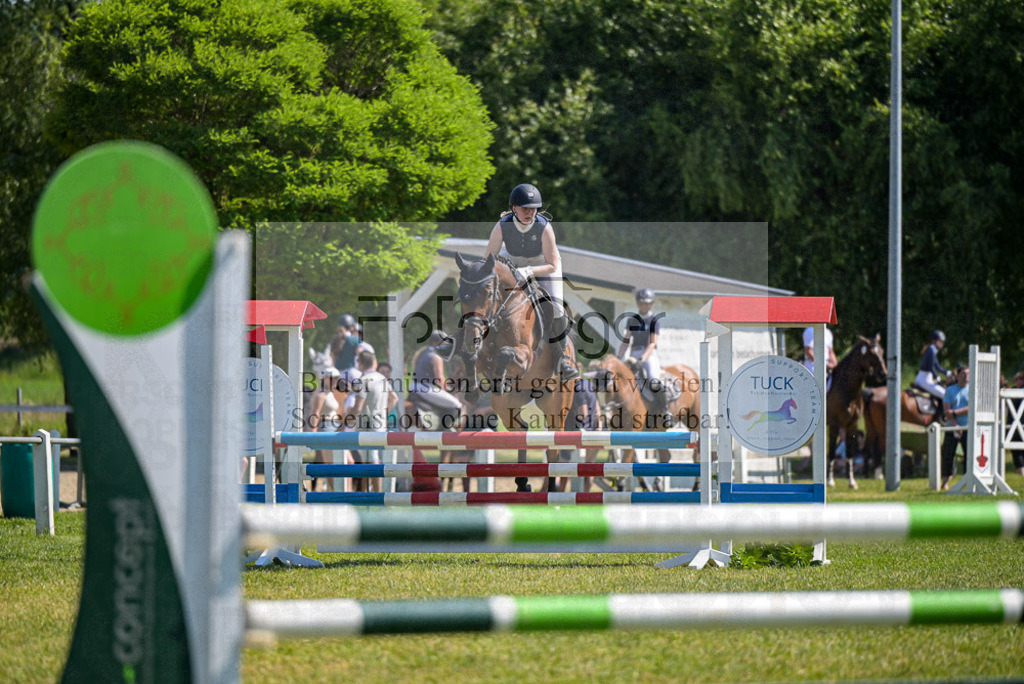Reitturnier Voxtrup | Entdecke hochwertige Reitturnierfotos von Foto Oger. Professionell, emotional und authentisch – jetzt Lieblingsmomente im Shop bestellen.Deutschlandweite Turnierfotografie. - Realisiert mit Pictrs.com