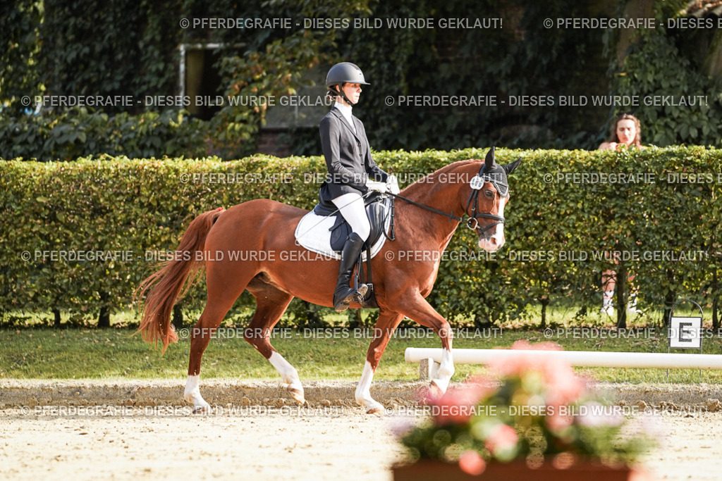 DSC05819 | Pferdegrafie