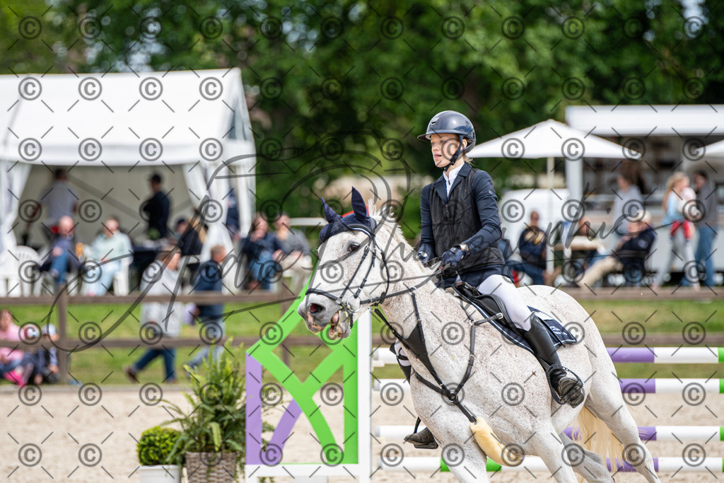 KPT_5402 | andre_photographic