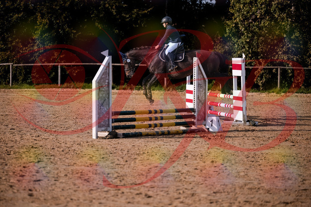 2026_10_03_Siefer-Hof_160134_Z81_82502316 | Professionelle Reitsport-, Turnier- und Eventfotografie von Robert Broda. Galerien mit ausgewählten und bearbeiteten Bildern direkt online ansehen und bestellen.
