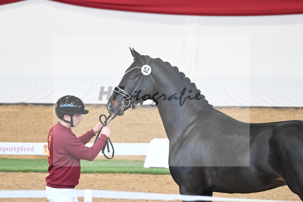Kat.-Nr. 79 v. Taurus_Beckmann_2250350 | hf-fotografie - Realisiert mit Pictrs.com