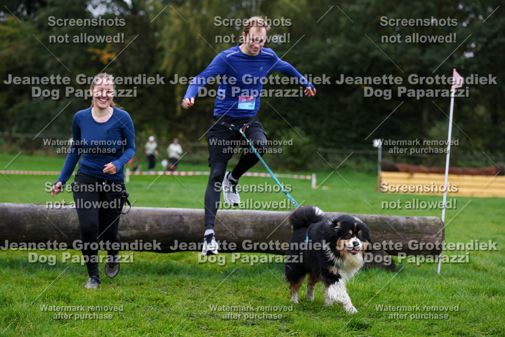 Dog Paparazzi -  SD1026-1367 | Dog Paparazzi Jeanette Grottendiek Fotografie & Videografie - Realisiert mit Pictrs.com