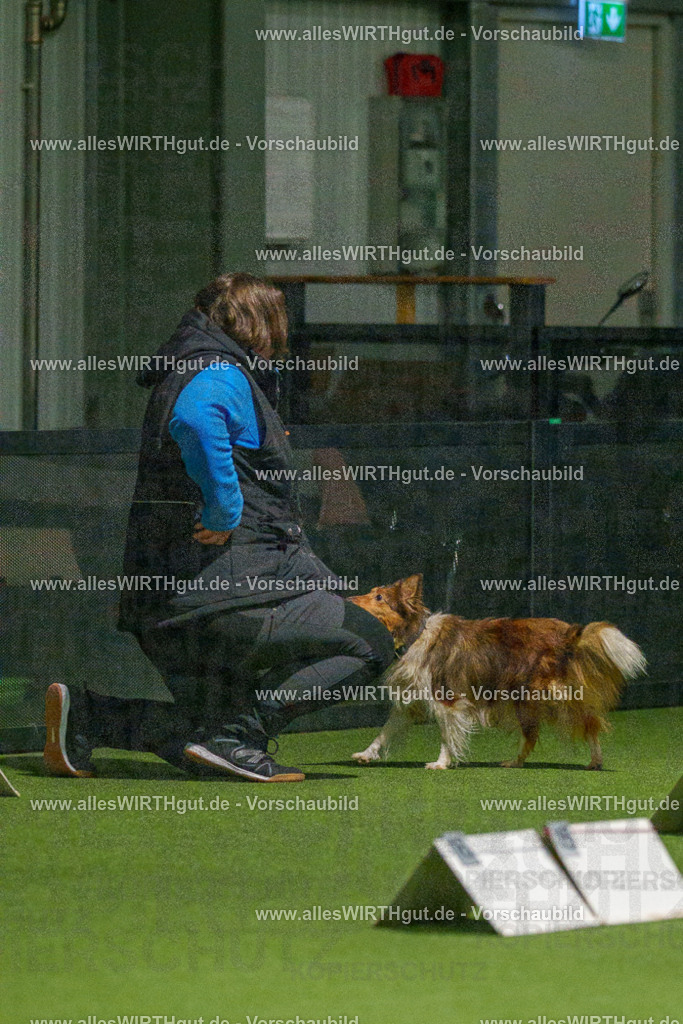 7R509154 | Professionelle Tierfotografie in Mönchengladbach von Daniel Wirth (allesWIRTHgut). Liebevolle & natürliche Bilder von Hunden & Katzen für unvergessliche Erinnerungen.