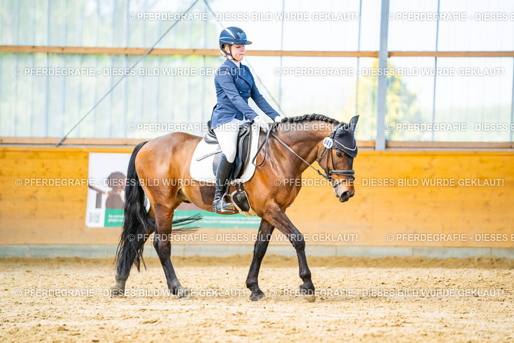 DSC08223 | Pferdegrafie