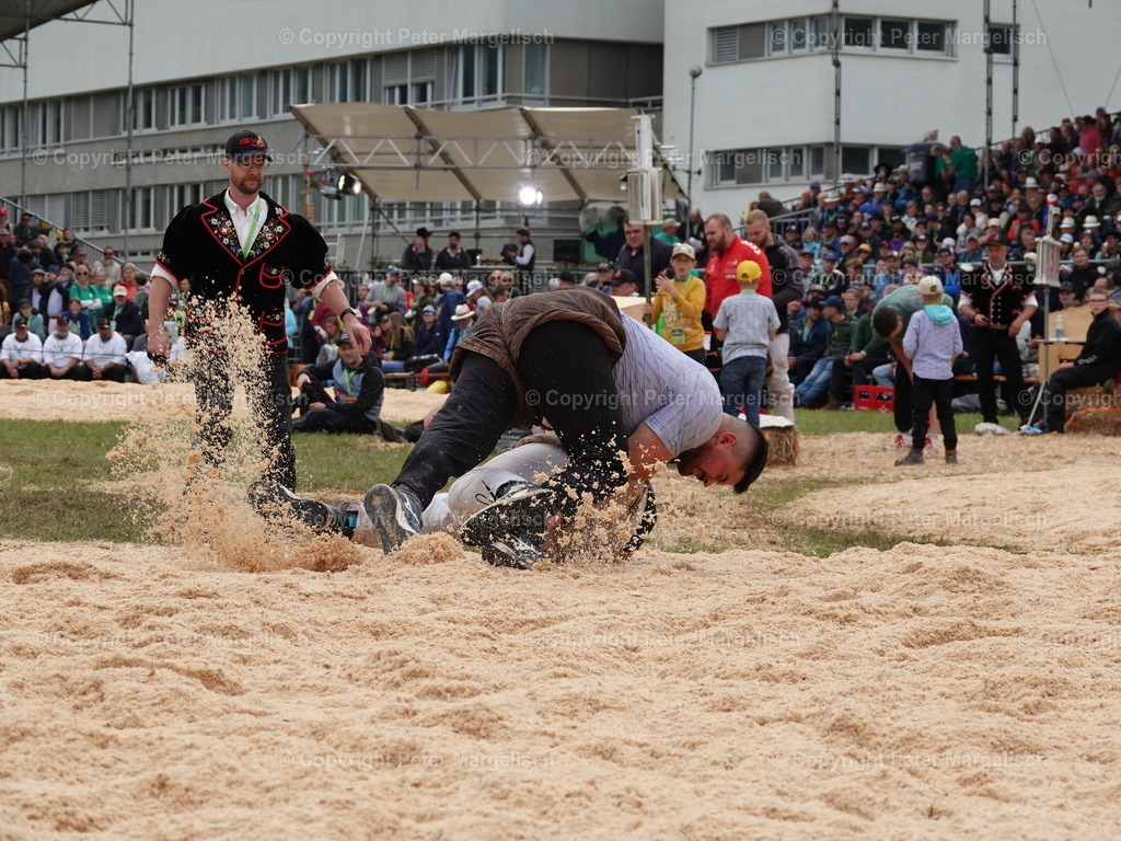 DSC08061 | Schwingen - Realisiert mit Pictrs.com