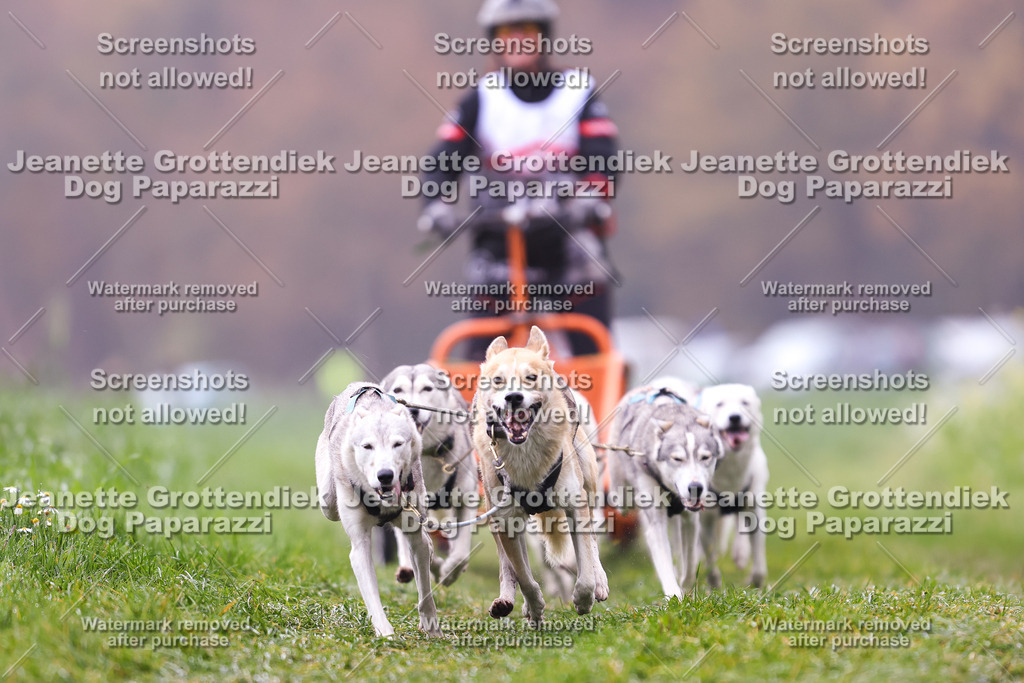 Dog Paparazzi - Visbeck 25 -51 | Dog Paparazzi Jeanette Grottendiek Fotografie & Videografie - Realisiert mit Pictrs.com