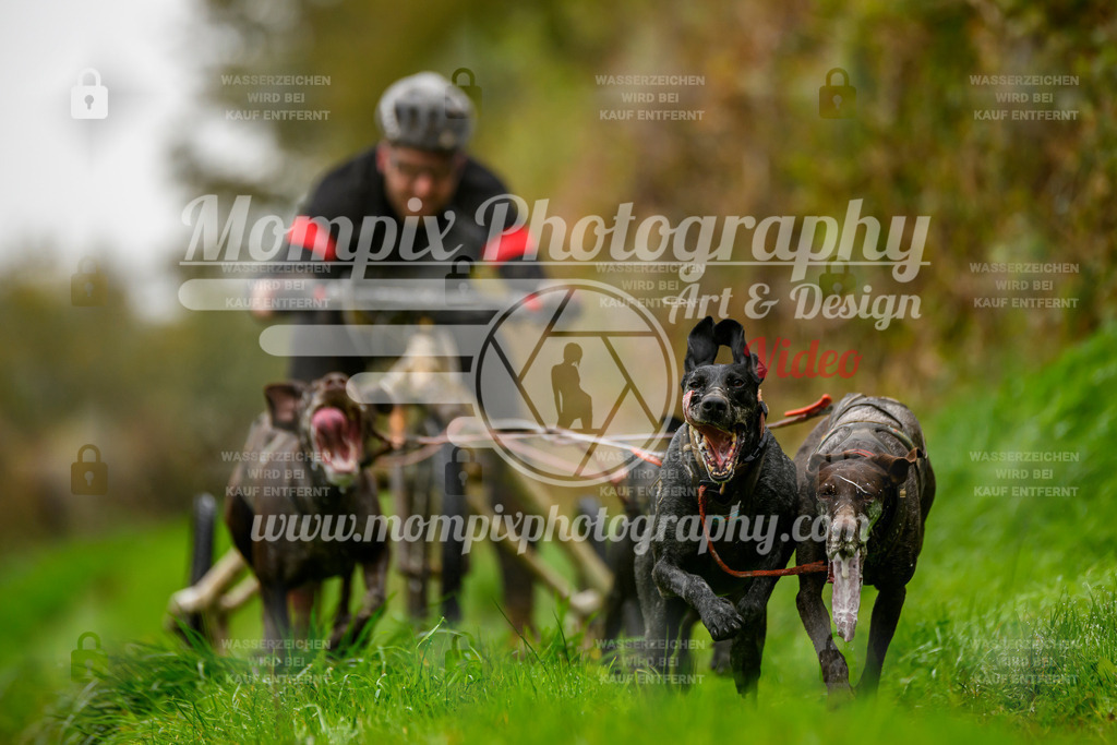 MompixPhotography_20TSB_E8_Kart-12 | PayLife