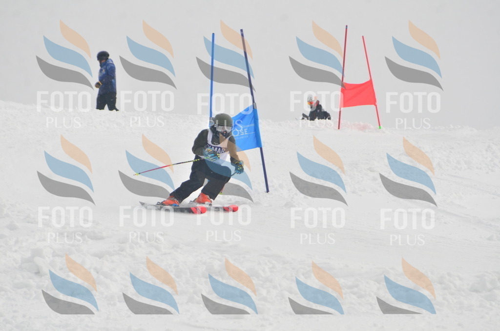 A5613 | holidayphoto