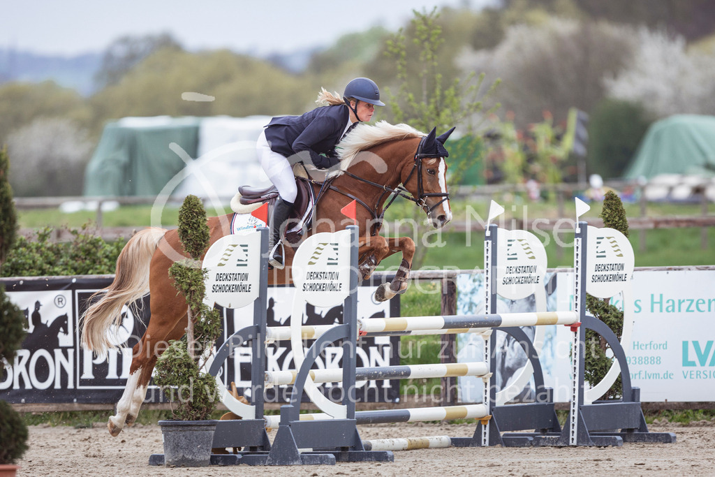 250417_Springpferde-A1-118 | Deine schönsten Turniermomente als professionelle Fotos! Entdecke hochwertige Pferdesport-Fotografie im Online-Shop. Jetzt Fotos finden & bestellen!