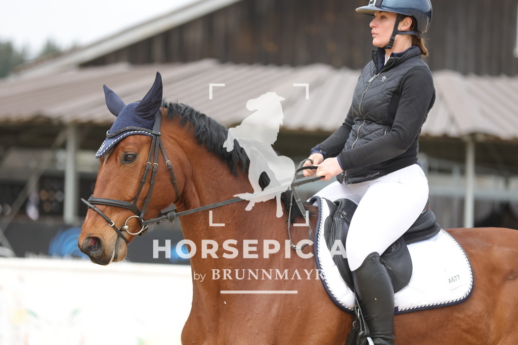 0P6A4866 | Willkommen bei Brunnmayr - Design & Fotografie – Ihrem Spezialisten für Reitturniere und Pferdeveranstaltungen in Oberösterreich, Salzburg und Bayern! Seit über 17 Jahren sind wir leidenschaftlich dabei.