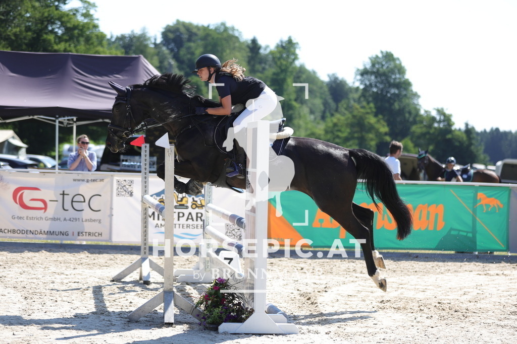 0P6A5915 | Willkommen bei Brunnmayr - Design & Fotografie – Ihrem Spezialisten für Reitturniere und Pferdeveranstaltungen in Oberösterreich, Salzburg und Bayern! Seit über 17 Jahren sind wir leidenschaftlich dabei.