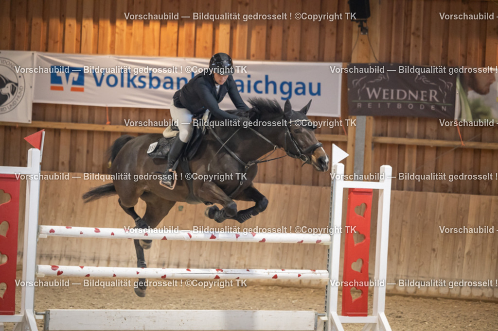 _D5A8601 | Emotionale Pferde- & People-Fotografie rund um Heidelberg, Leimen & Umgebung. Natürliche Fotos von Pferd, Mensch & Familie. Jetzt Termin sichern!