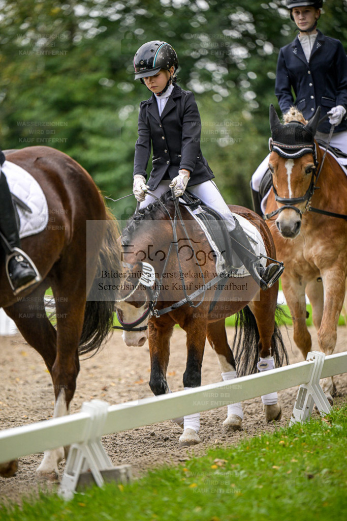 FOTO OGER | Entdecke hochwertige Reitturnierfotos von Foto Oger. Professionell, emotional und authentisch – jetzt Lieblingsmomente im Shop bestellen. - Realisiert mit Pictrs.com