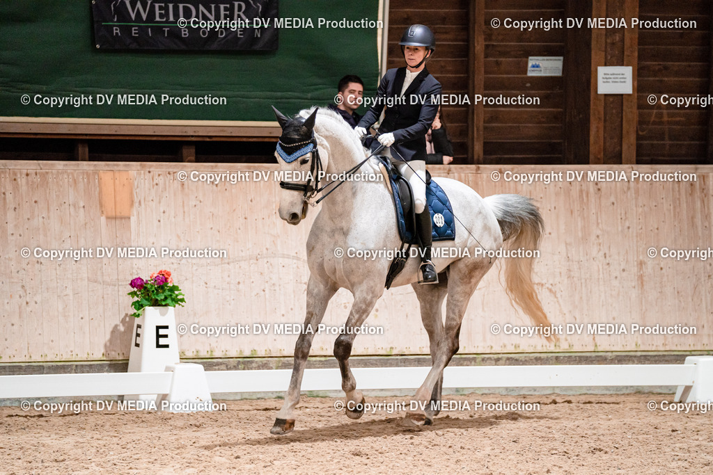 Dressur Tag 3-641 | dv-media-shop - Realisiert mit Pictrs.com