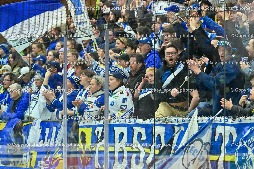 EC VSV vs. HC Bozen 16.2.2024 | EC VSV Fans, Absolut Villach,EC VSV vs. HC Bozen 16.2.2024, EC VSV vs. HC Bozen 16.2.2024 am 16.02.2024 in Villach (Stadthalle Villach), Austria, (Photo by Bernd Stefan)