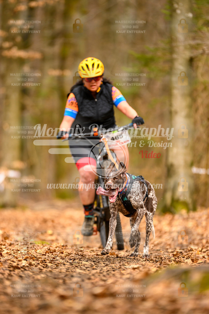 MompixPhotography_Habay2025_SA_Bike-155 | PayLife