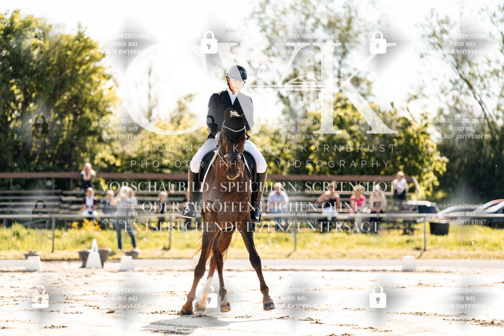 CK909138 | Turnierfotografie Pferdefotografie Trier Rheinland-Pfalz Pferdesport Reitsport Tierfotografie Sportfotografie Pferdevideo Pferdevideografie Equestrianvideography equestrianphotography  - Realisiert mit Pictrs.com