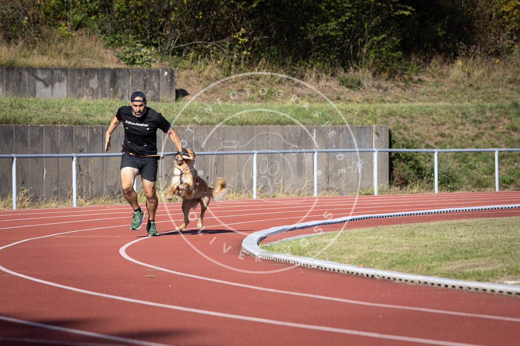 Pfotenfotografie_DV3A9651 | Hundefotografie, Tierfotograf, Pfotenfotografie, Fotoshooting Hund, Hunde Portrait, Hundesport, Hundeportraits, Heideshooting, Hunde, Sportfotograf, Hundefotograf, Turnierhundsport, THS,  - Realisiert mit Pictrs.com