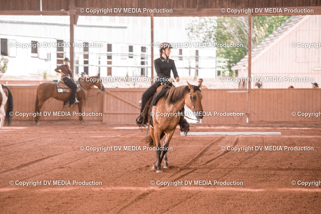 NE300258 | dv-media-shop - Realisiert mit Pictrs.com