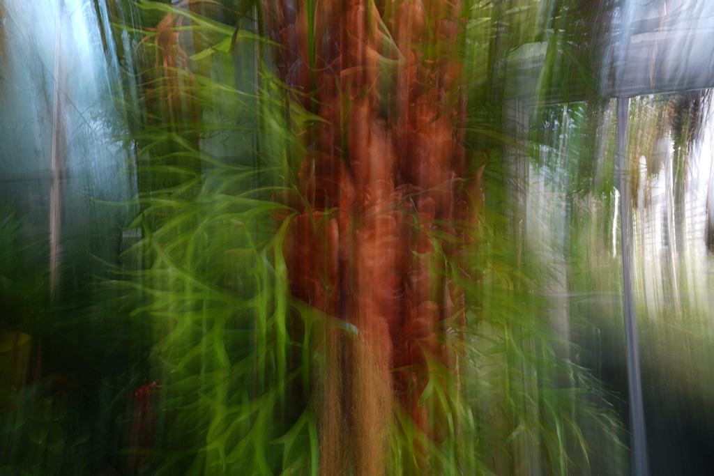 2024_01_27 A7V03325 | bridgeman - Realisiert mit Pictrs.com