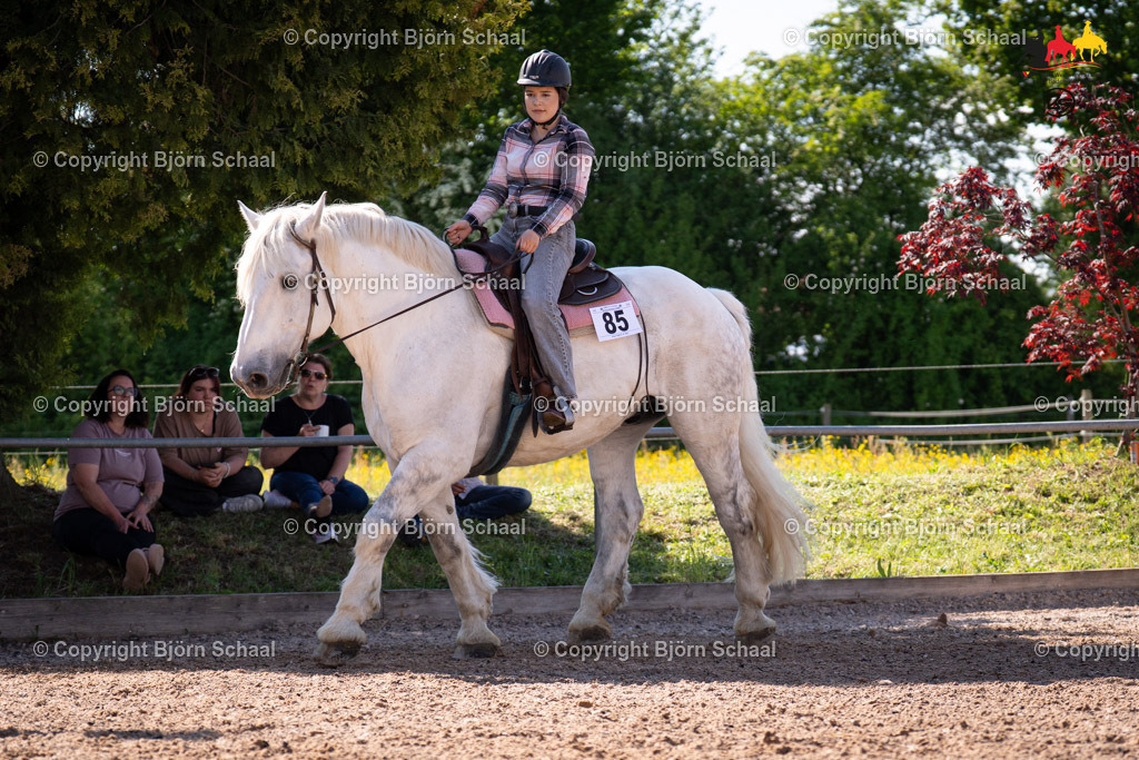 LMB08215 | BS-foto