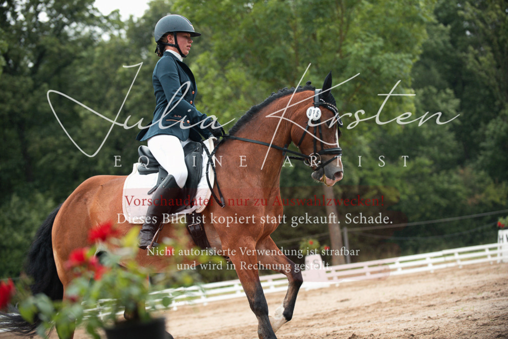 DSC_9850 | Pferde- und Turnierfotografie in Westsachsen. Pferdeportraits, Auftragszeichnungen und intuitive Kunst.