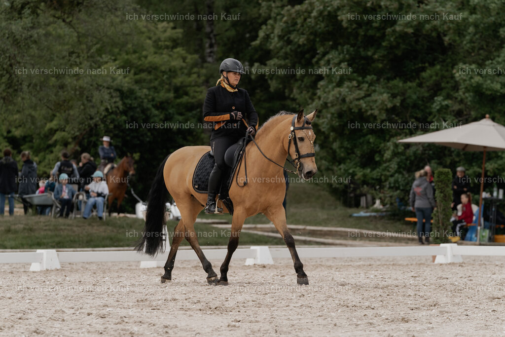 WE_DR_Stoib_319_PI2025_310 | Pferd International München 2025