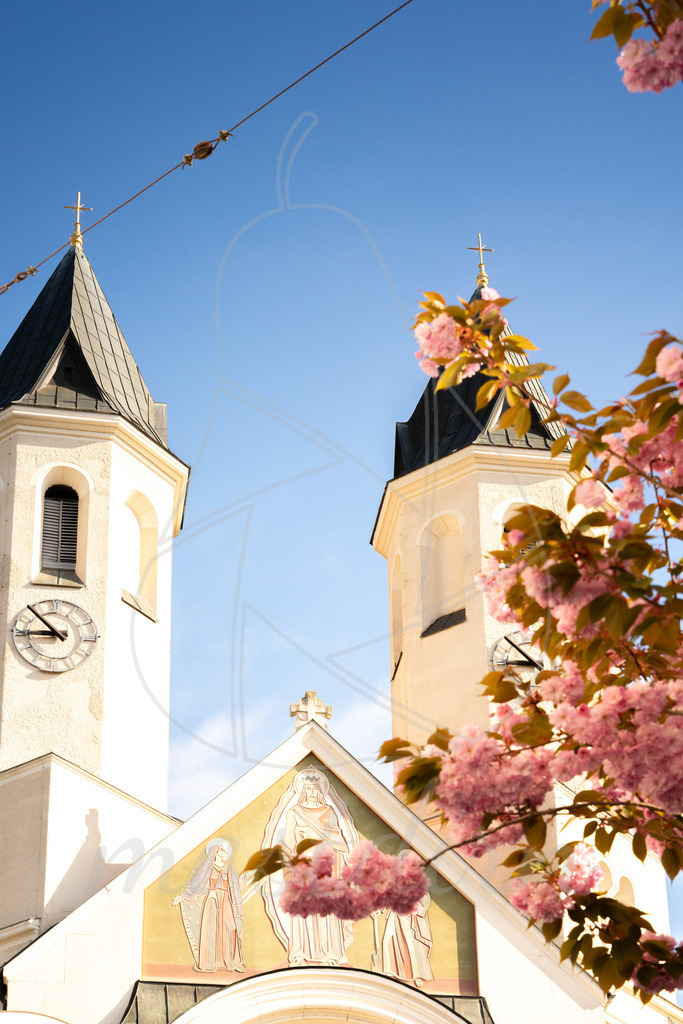 Kirschbluete_Amstetten_Mostdirn_Irmgard_Wieser_2026-2780 | Ihre Fotografin im Lungau, ihre Fotografin im Mostviertel, Wandbilder Onlineshop, Imagefotos für Ihr Unternehmen,  - Realisiert mit Pictrs.com
