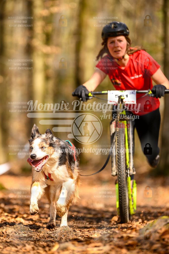 MompixPhotography_Habay2025_SA_SCO-58 | PayLife