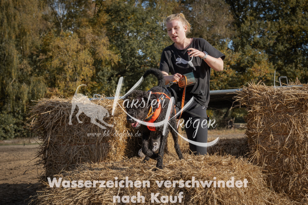 1051_ZZ99436 | kk-dogfotos