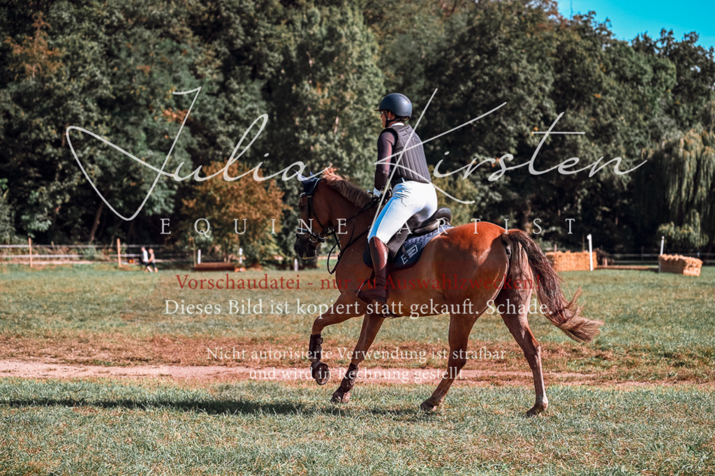 DSC_0787 | Pferde- und Turnierfotografie in Westsachsen. Pferdeportraits, Auftragszeichnungen und intuitive Kunst.