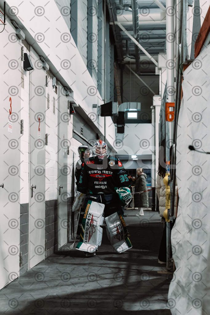 Alligators_vs_Fuessen_26.10.2025-059 | Höchstadt Alligators Fotogalerie: Eishockey-Action aus Franken. Professionelle Spielfotos, Portraits & Stadionbilder zum Download. Jetzt entdecken! - Realisiert mit Pictrs.com