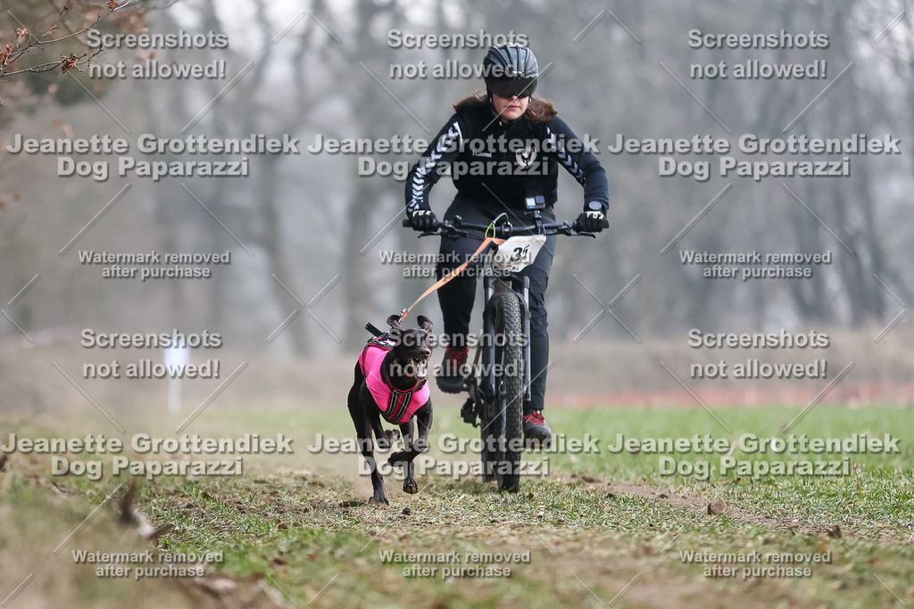 Dog Paparazzi - Plate 2026-112 | Dog Paparazzi Jeanette Grottendiek Fotografie & Videografie - Realisiert mit Pictrs.com
