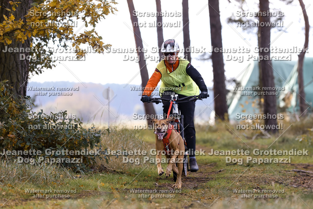 Dog Paparazzi - Elsholz 25 -97 | Dog Paparazzi Jeanette Grottendiek Fotografie & Videografie - Realisiert mit Pictrs.com